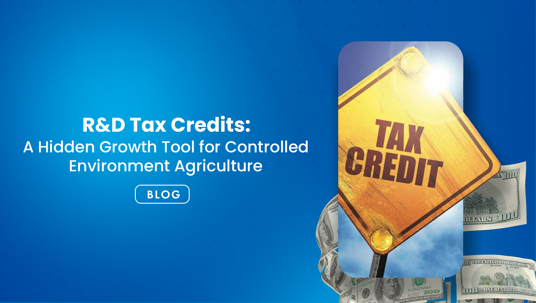 R&D Tax Credits: A Hidden Growth Tool for Controlled Environment Agriculture